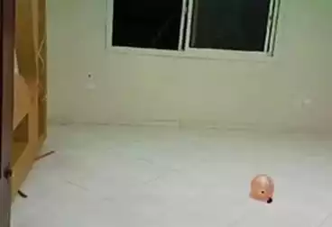 undefined undefined - 3 rooms - floor 11