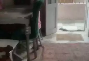Apartments For rent - 3 rooms - floor 4