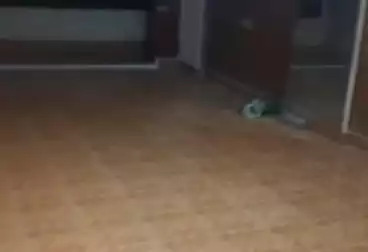 Apartments For rent - 2 rooms - floor 4