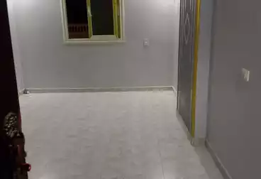 Apartments For rent - 3 rooms - floor 5