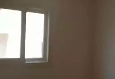 Apartments For rent - 2 rooms - floor 12