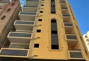 undefined undefined - 3 rooms - floor 1