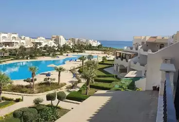 ستوديو للبيع - 1 غرف - بالدور 1