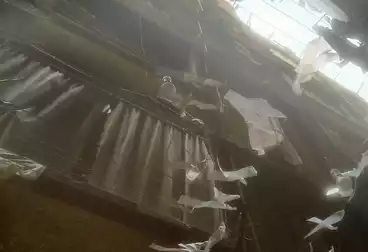 عمارات للبيع