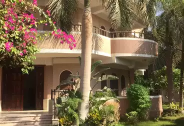 فيلا منفصلة للبيع - 10 غرف