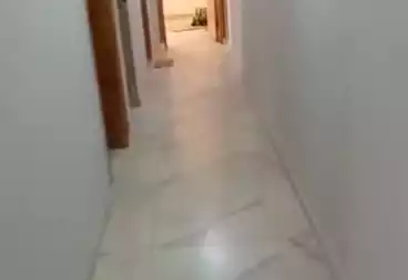 Apartments For rent - 3 rooms - floor 11
