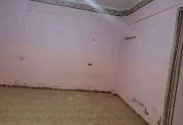 Apartments For rent - 3 rooms - floor 6