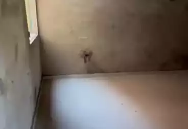 Apartments For sale - 3 rooms - floor 7