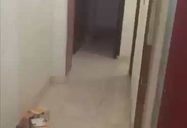 undefined undefined - 3 rooms - floor 1