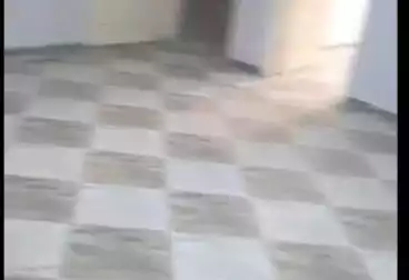 Apartments For rent - 3 rooms - floor 4