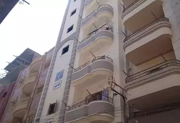 شقق للبيع - 3 غرف - بالدور 7