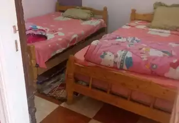 Apartments For rent - 2 rooms - floor 6