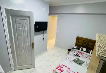 Apartments For rent - 1 rooms - floor 1