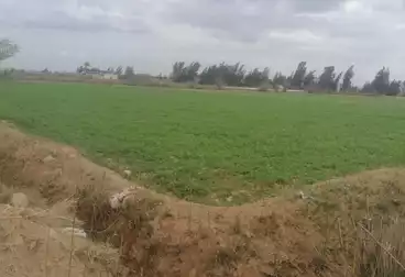 Farm For sale