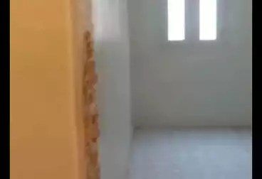 Apartments For sale - 3 rooms - floor 1