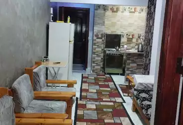 Furnished Apartment For rent - 2 rooms - floor 2