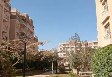 شقق للبيع - 3 غرف - بالدور 4