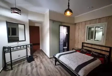 Furnished Apartment For rent - 2 rooms - floor 3