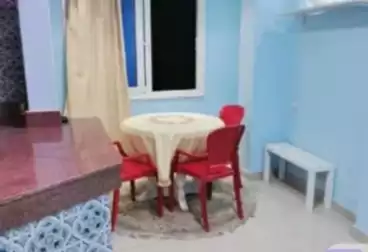 الفرق بين الشقق المفروشة والعادية في المنصورة - الاستنتاج