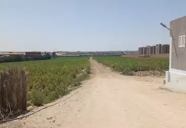 أرض زراعية للبيع