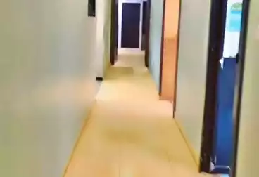 Apartments For rent - 3 rooms - floor 7