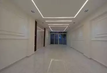 Apartments For sale - 3 rooms - floor 1