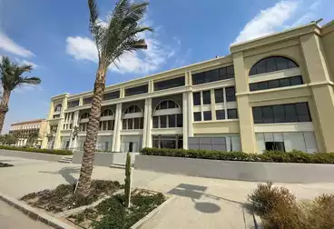 Properties For rent - 14 rooms - floor 4