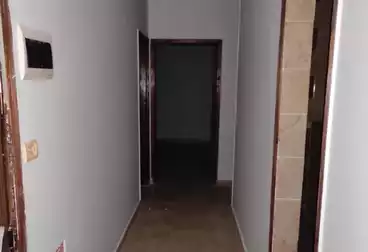 Apartments For rent - 3 rooms - floor 2