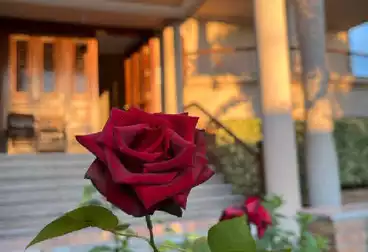 فلل للبيع - 8 غرف