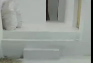 Commercial For sale - floor 0