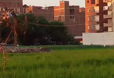 أرض مباني سكنية للبيع
