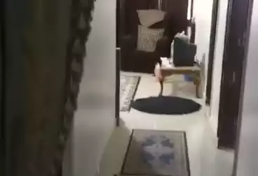 Properties For rent - 3 rooms - floor 6