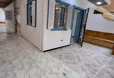 شاليهات للبيع - 2 غرف - بالدور 0