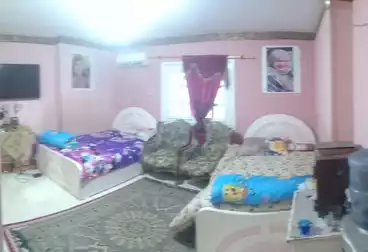 Apartments For sale - 3 rooms - floor 1