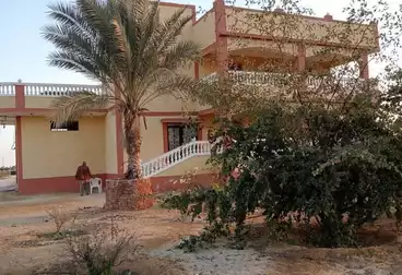 أرض زراعية للبيع