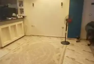 undefined undefined - 3 rooms - floor 11