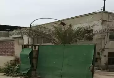 Factory For rent
