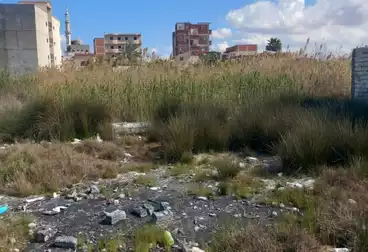 أراضي للبيع