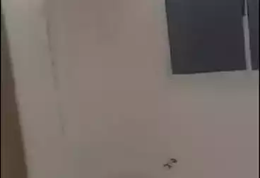 Apartments For sale - 2 rooms - floor 2