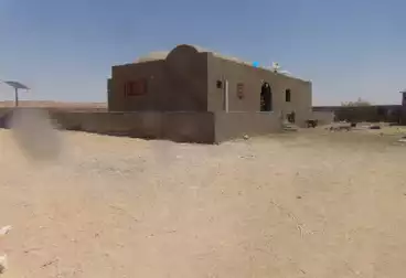 أرض زراعية للبيع