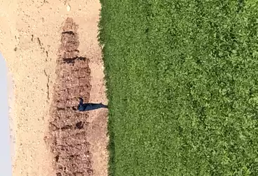 Farm For sale