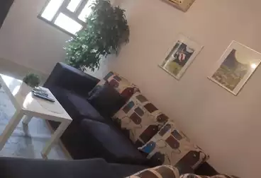 شقق للإيجار - 1 غرف - بالدور 0