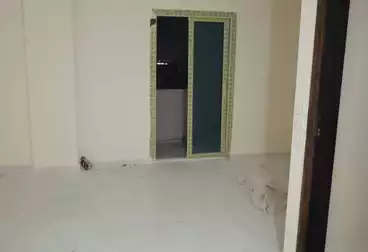 شقق للإيجار - 3 غرف - بالدور 1