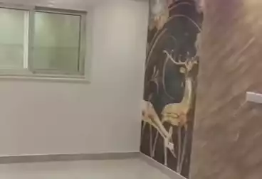 Apartments For rent - 2 rooms - floor 3
