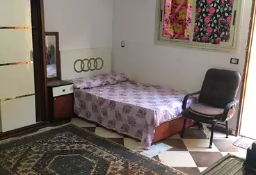Apartments For rent - 1 rooms - floor 0