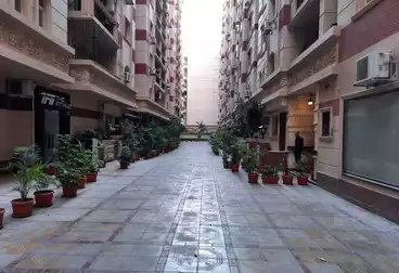 شقق للبيع - 2 غرف - بالدور 2