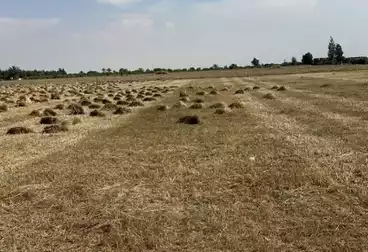 أرض زراعية للبيع