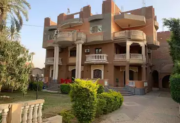 فلل للبيع - 3 غرف
