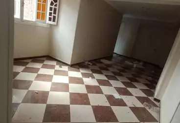 Apartments For rent - 2 rooms - floor 5