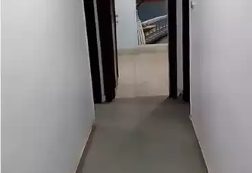 Apartments For rent - 3 rooms - floor 5